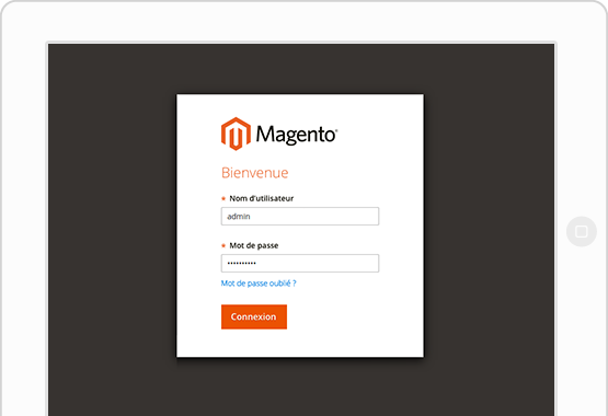 solution ecommerce magento