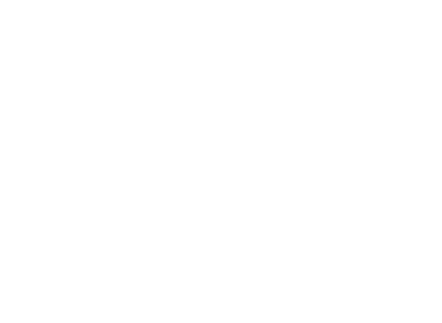 Prisma Media Solutions